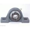 FHSPW205-15 Pillow Block Cast Iron Light Duty 15/16&#034; Ball Bearings Rolling