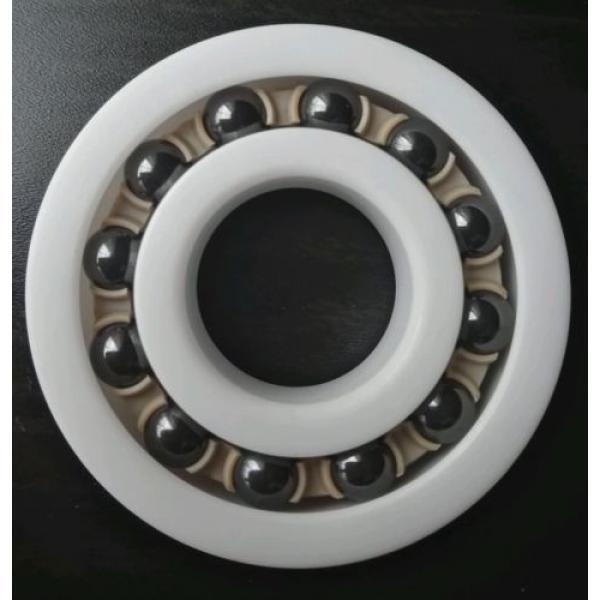 Self-Aligning Full Ceramic Ball Bearing 1204_20x47x14mm, ZrO2, Si3N4, PEEK #4 image